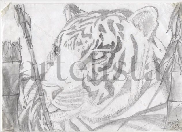 Tigre algo mas realista