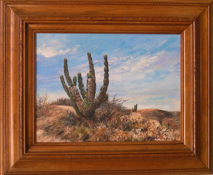 Desierto en la Baja 2