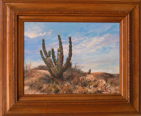 Desierto en la Baja 2