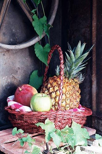 PIÑA