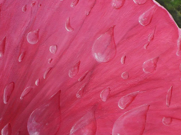 las gotas de Rosaura