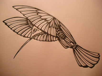 Colibrí sube que te...