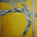 Sudcalifornia en Close-up thumbnail 1