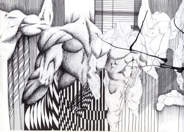 estudio de anatomia 1