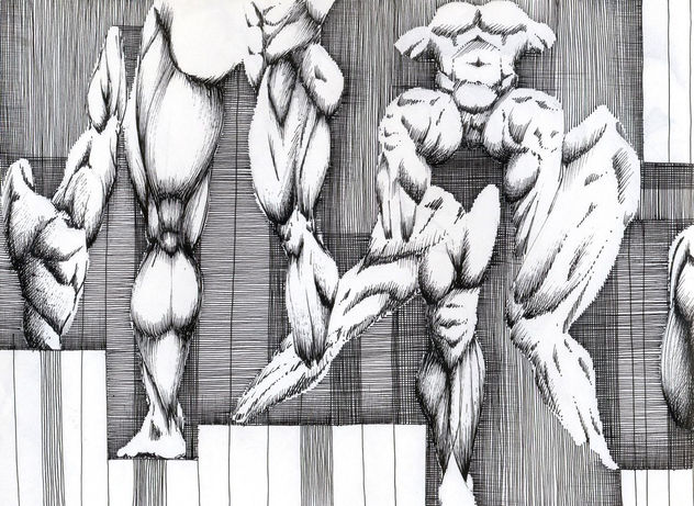 estudio de anatomia 2