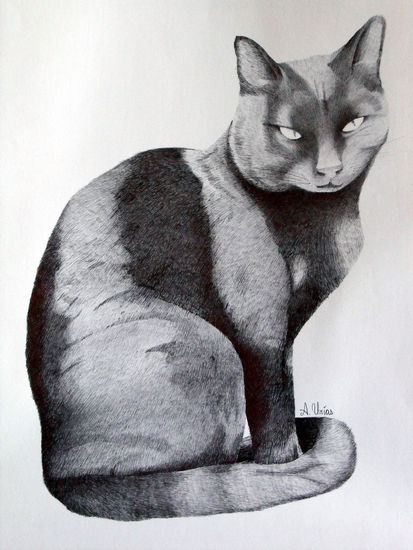 tyta la mascota Charcoal