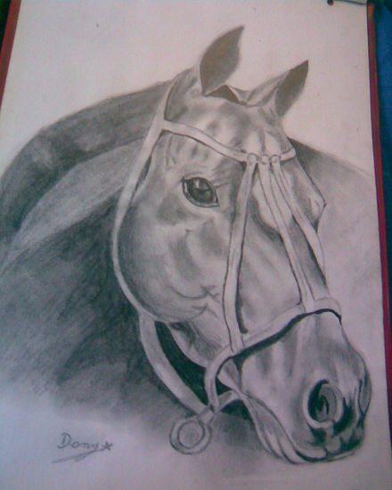 cabeza de caballo Pencil