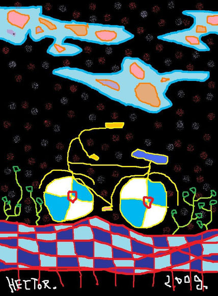 Bicicleta 1,2009