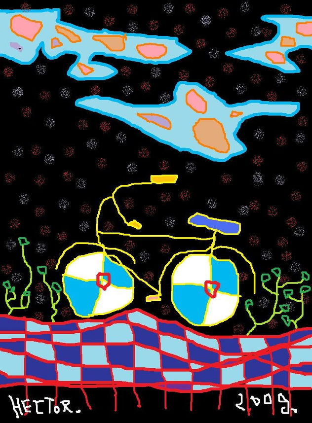 bicicleta 1,2009