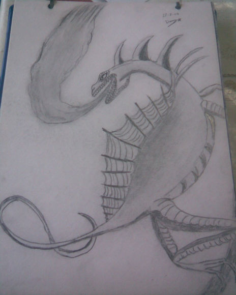 Dragon