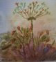 VEGETACION
