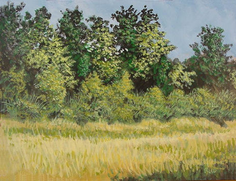 65 Paisaje
