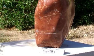 Serie 2009