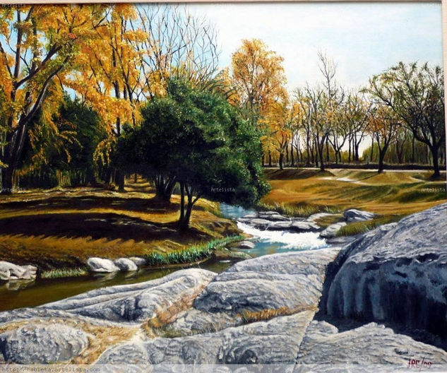 cajón de piedra Oil Canvas Landscaping