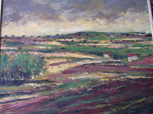 Paisaje Manchego Acrylic Panel