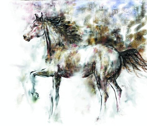 equus 