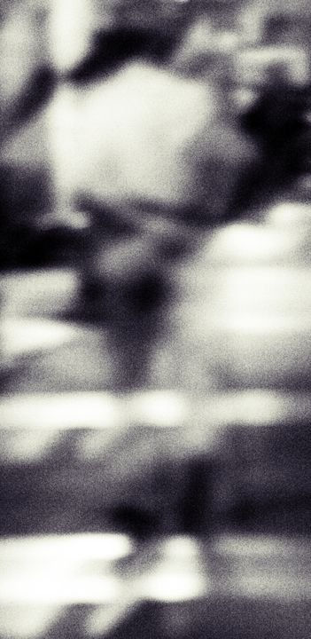 IMG_8855_Especies
