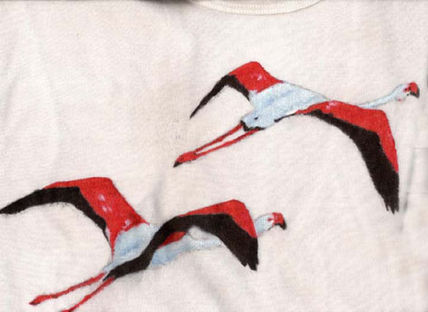 Flamencos
