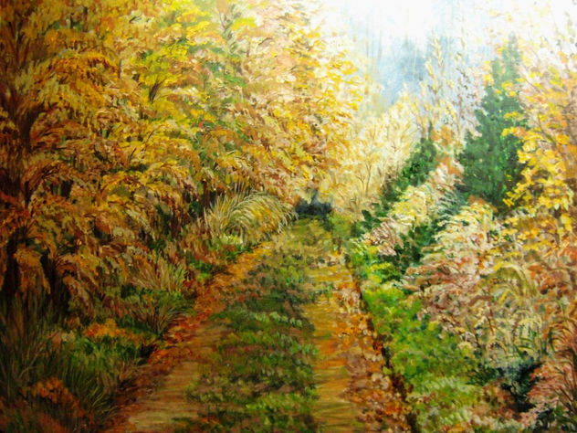 BOSQUE OTOÑAL
