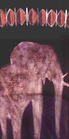 Camiseta elefante