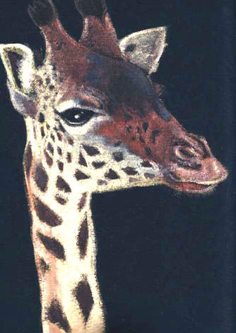Camiseta girafa