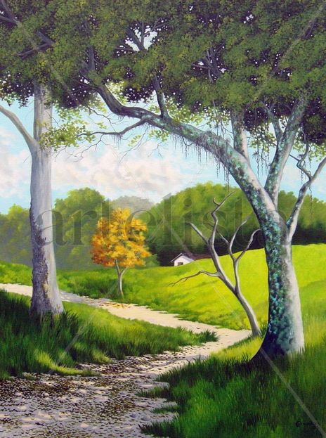 Caminho refrescante