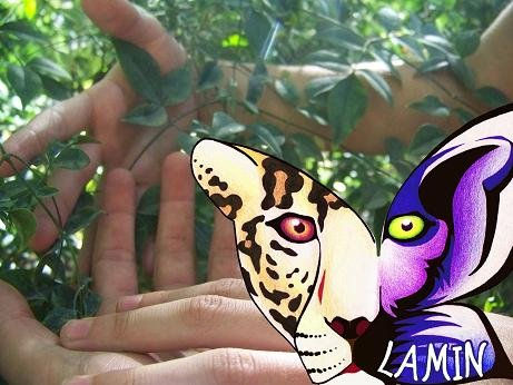 Tarjetas de LAMIN TERAPIAS NATURALES