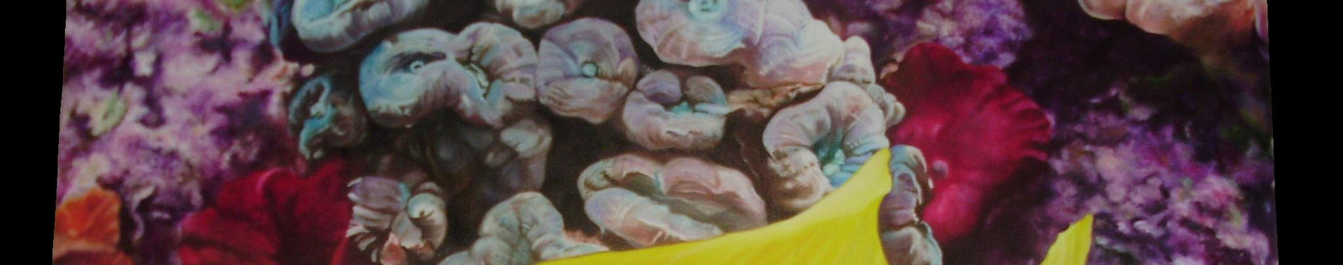 Imagen de portada