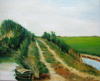 La Albufera 2