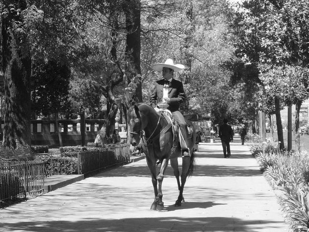 ALAMEDA PROTEGIDA