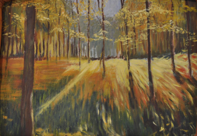 Bosque Oil Canvas Landscaping