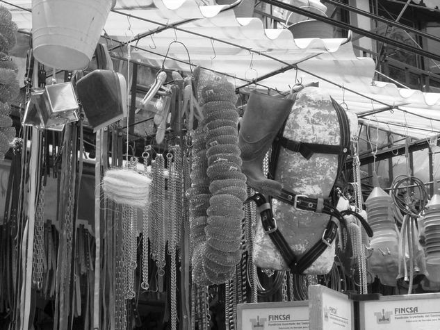 MERCADO DE PORTALES Travel Black and White (Digital)