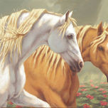 caballos thumbnail 1