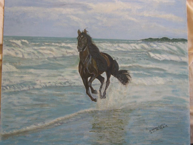 caballo salvaje en la playa