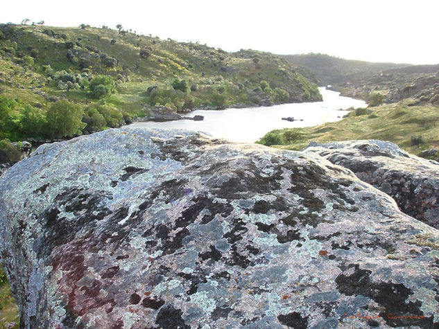 Rocas en la orilla del Tajo, (Rocks on the shore of the Tajo) Naturaleza Color (Digital)