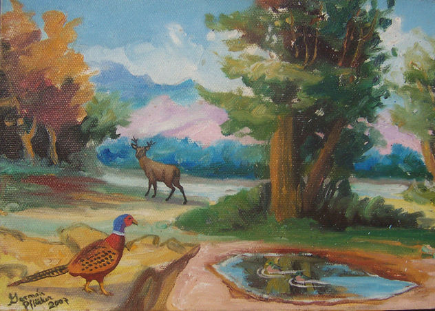 APACIBLE PAISAJE