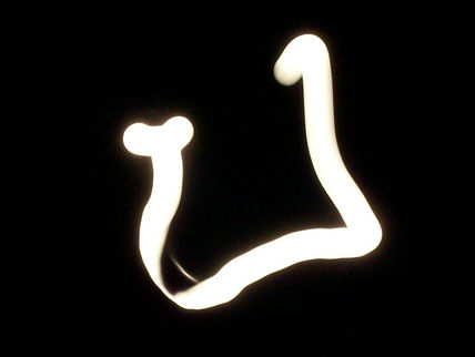 Diàlogo