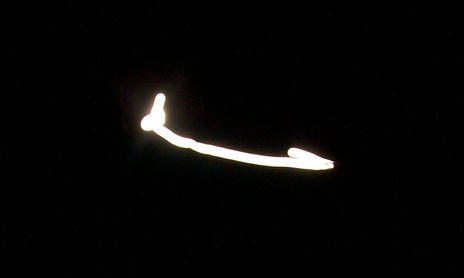 LUNAS