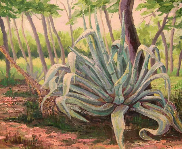 Agave Acrílico Lienzo Paisaje