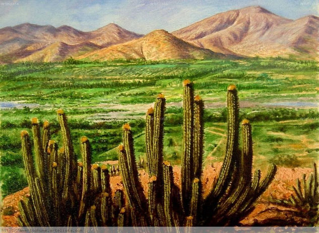 cactus Oil Canvas Landscaping