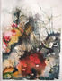 "Coral 1"