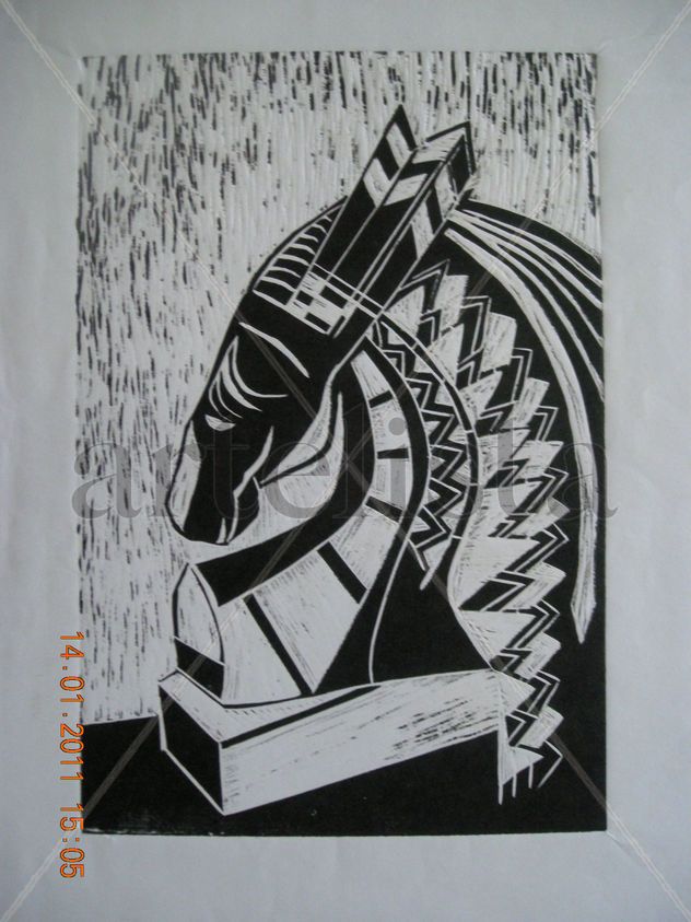 CABALLO CACIQUE