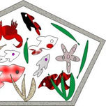 MAR DEL PLATA thumbnail 1
