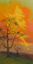 OCASO I