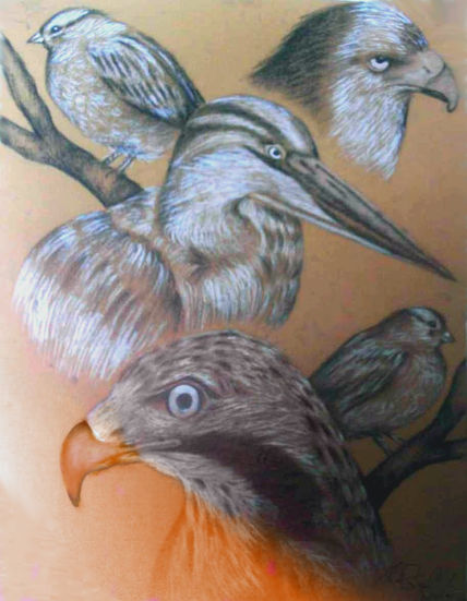 Composición de aves...