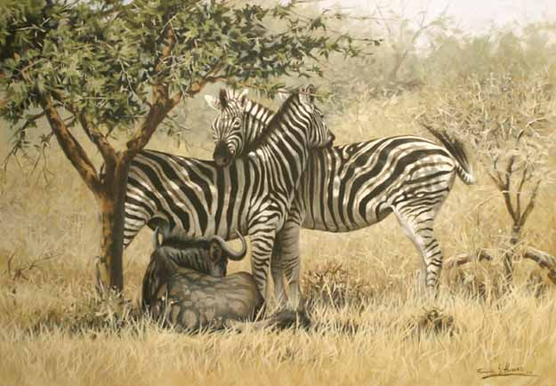 CEBRAS Y ÑU Oil Canvas Animals