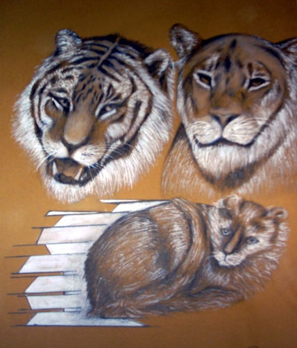 Composición   serie 1