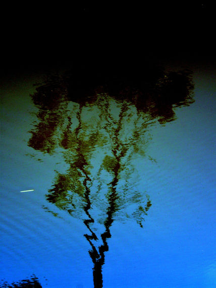 Reflejos