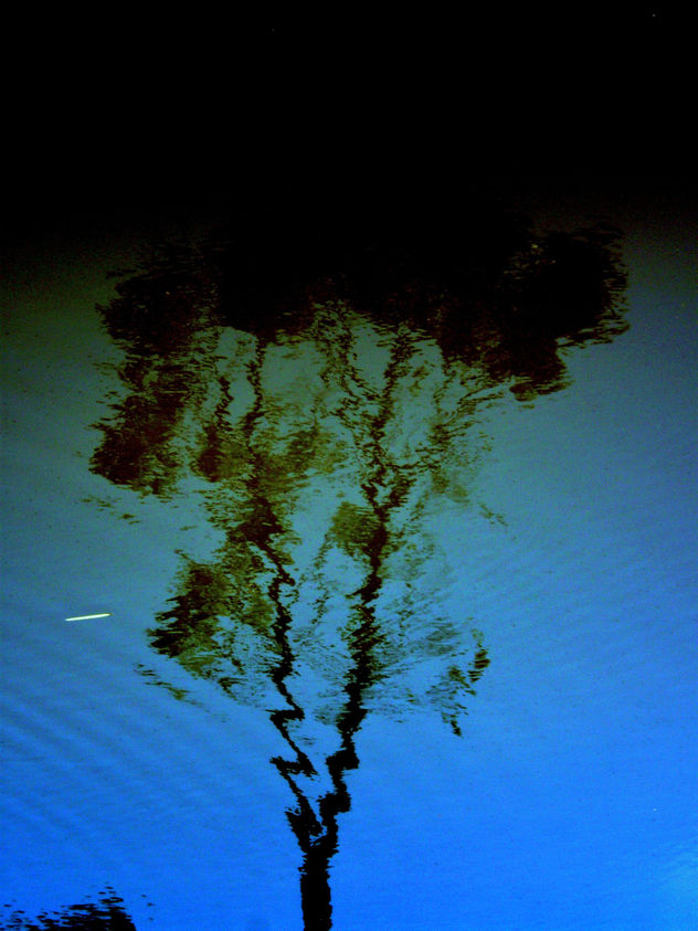 Reflejos