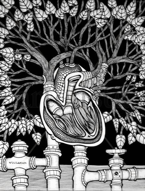 Arte y ambiente-15